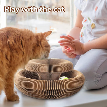 Magic Organ Cat Scratching Board Cat Ball Adventure with Toy Ball Bed Foldable